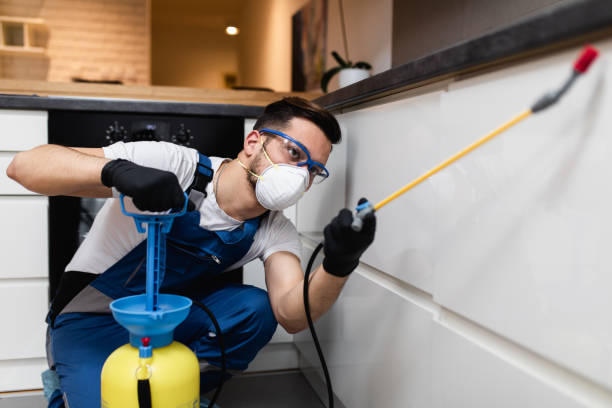 Best Ant Control Services  in Fergus Falls, MN