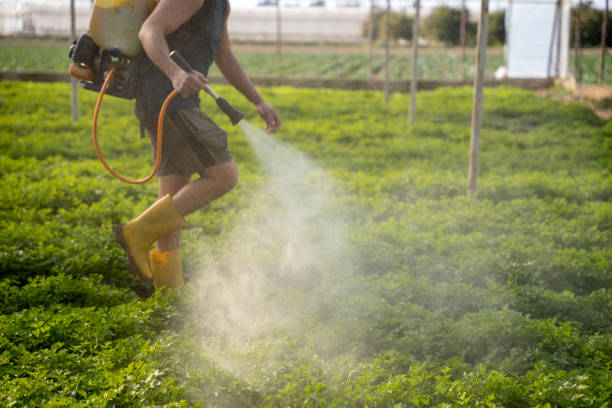 Best Pest Prevention Services  in Fergus Falls, MN